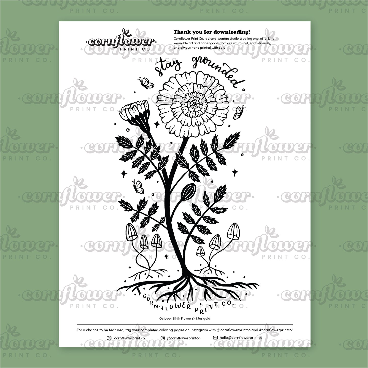 Free Birth Flower Coloring Page Download (June - Oct)