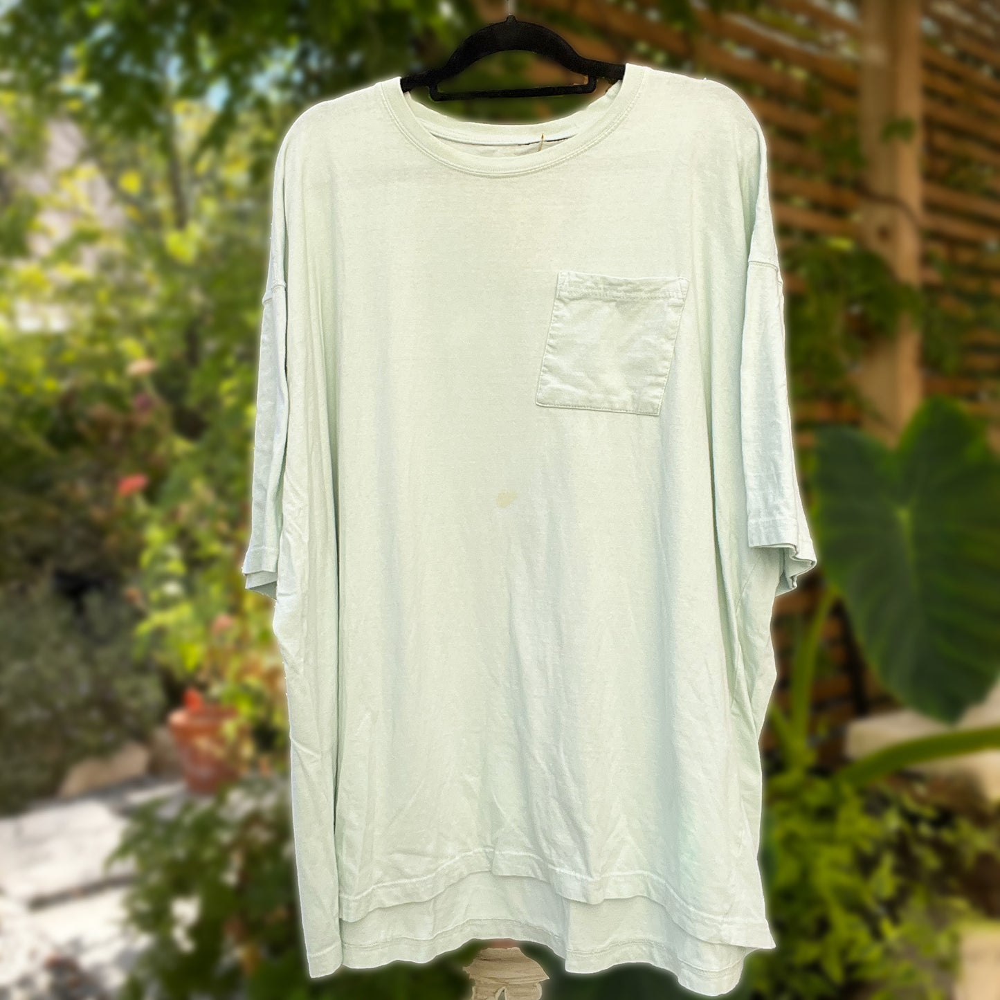 September Birth Flower | Morning Glory | Light Blue Tee | 5X