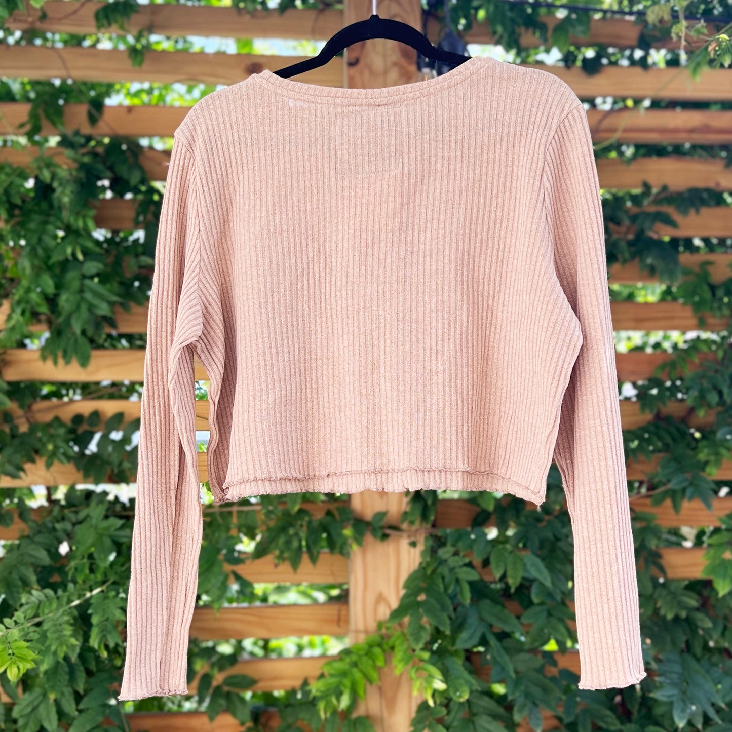 Typewriter | Lt. Brown Long Sleeve Crop Top | 3X
