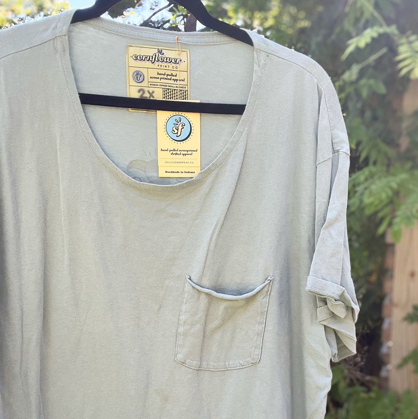 National Parks | Dusty Blue Pocket Tee | 2X