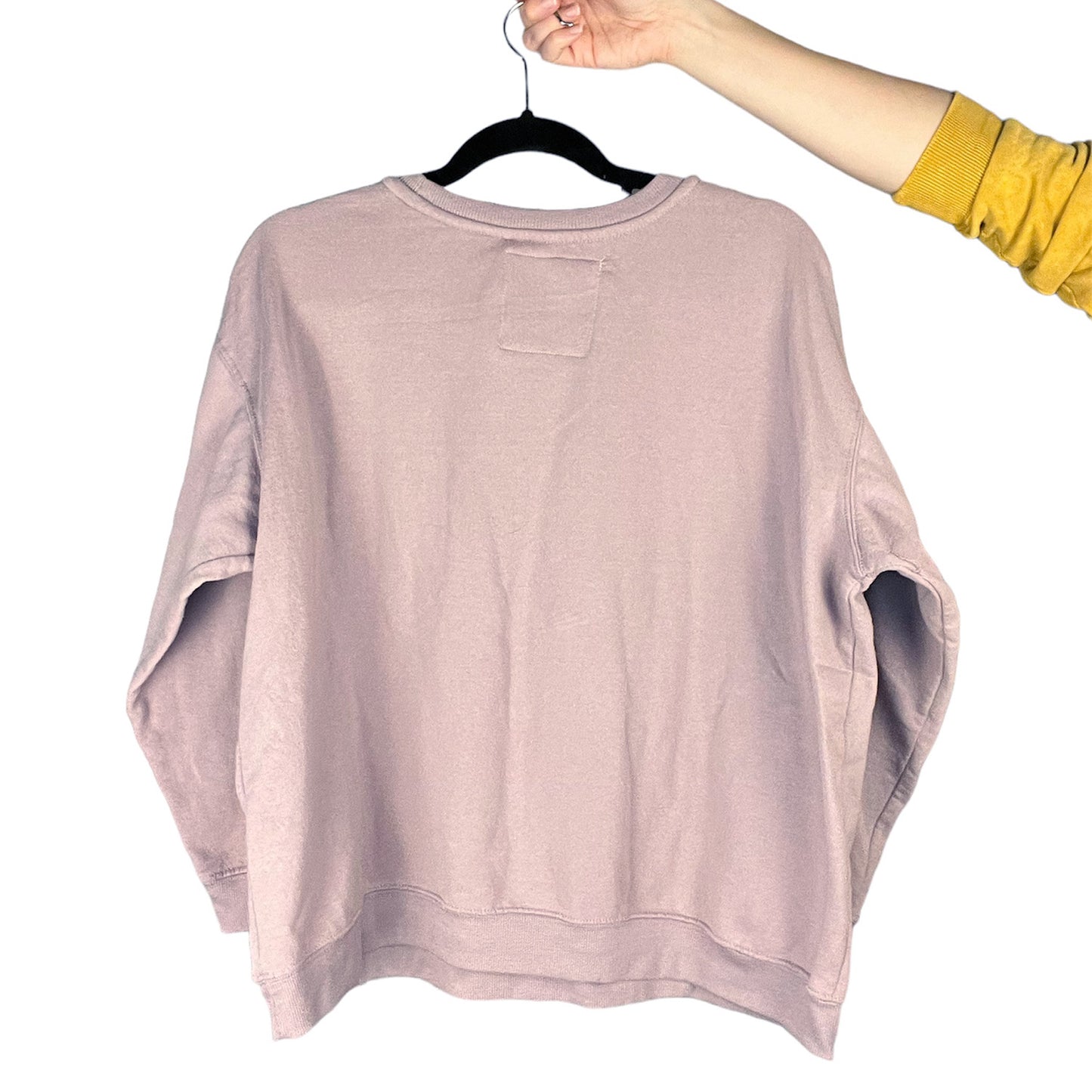 Protect Mother Nature | Light Purple Sweater | 2X
