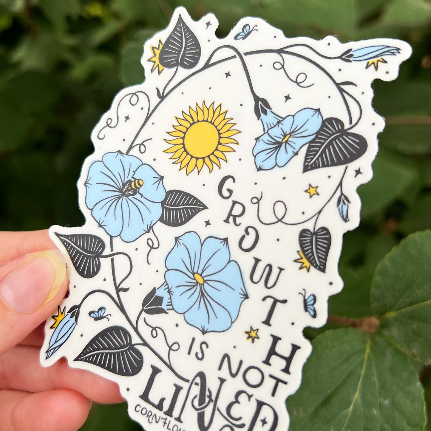 Sticker | September Birth Flower | Morning Glory
