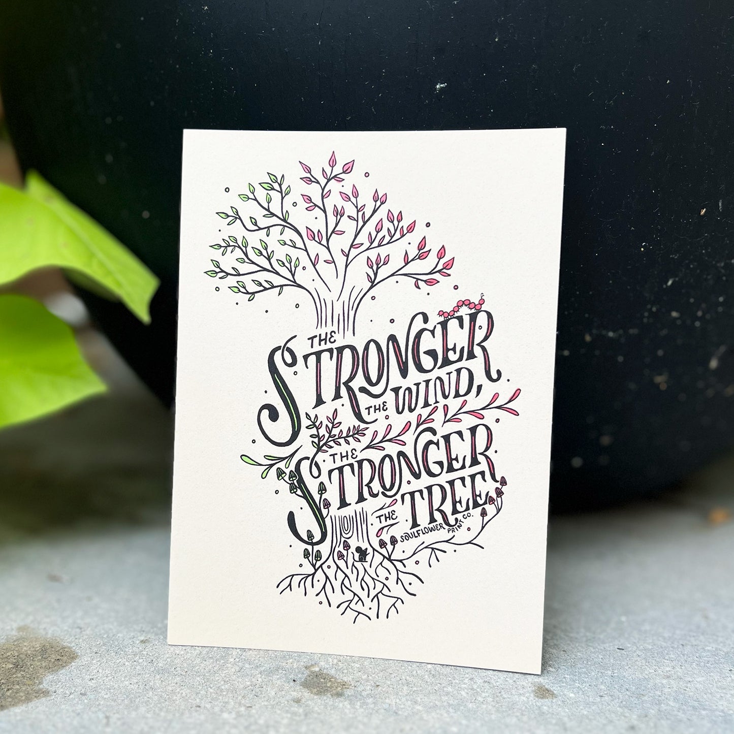 Postcard | Strong Tree