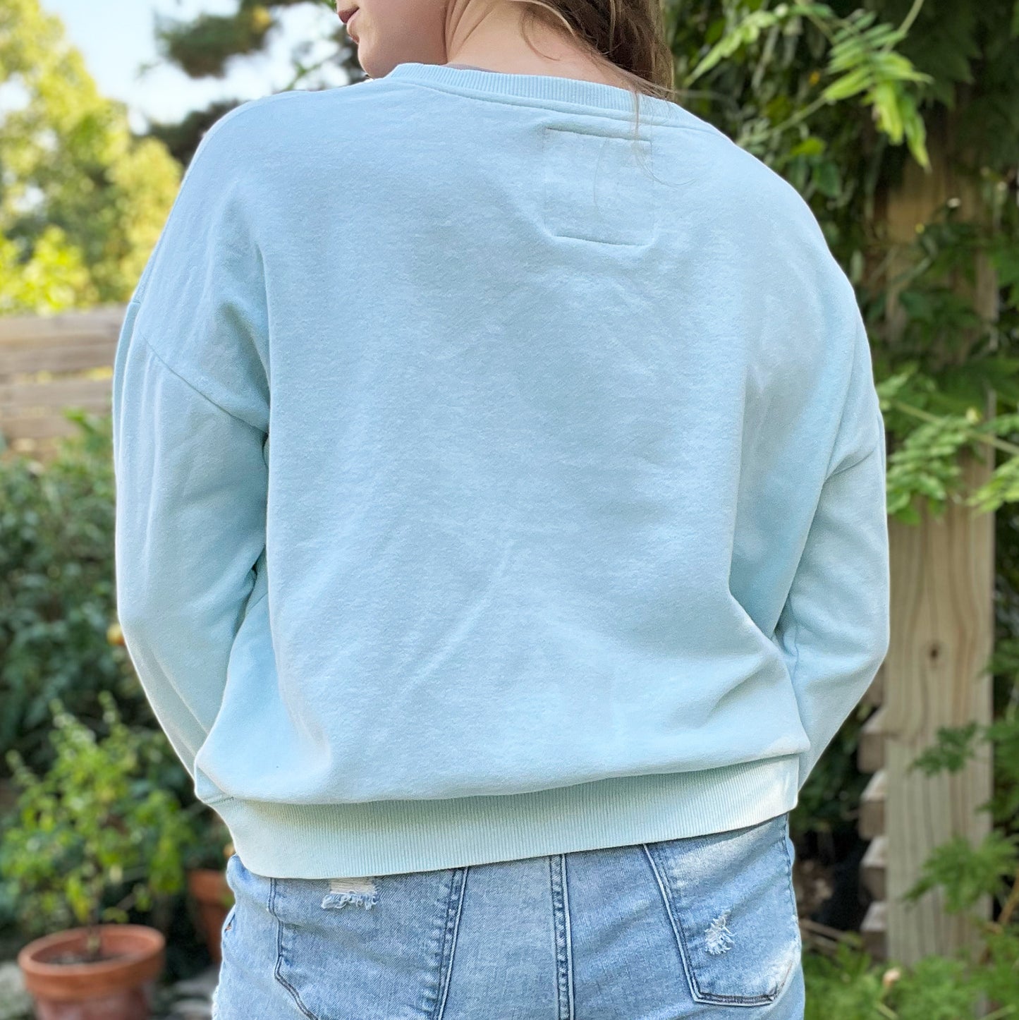National Parks | Lt. Blue Sweatshirt | Large