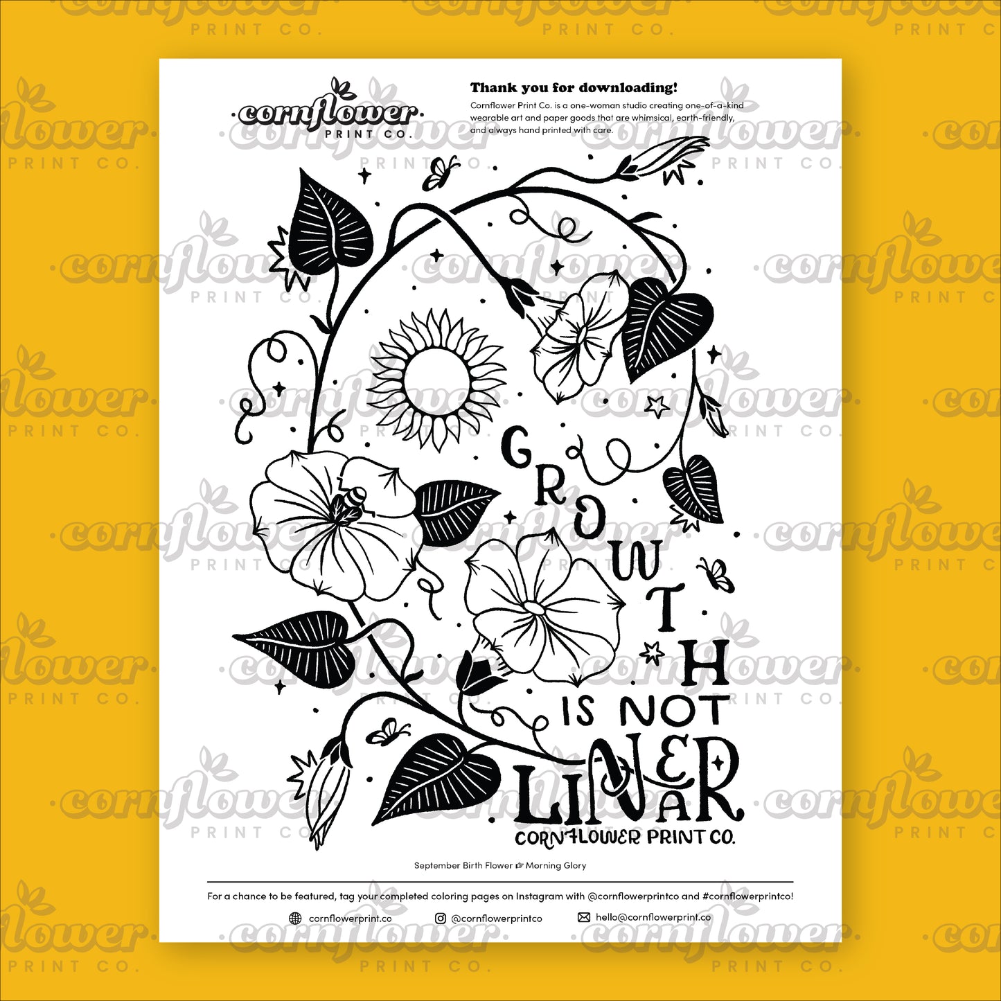 Free Birth Flower Coloring Page Download (June - Oct)