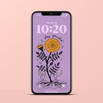 Wallpaper Bundle | October Birth Flower | Marigold