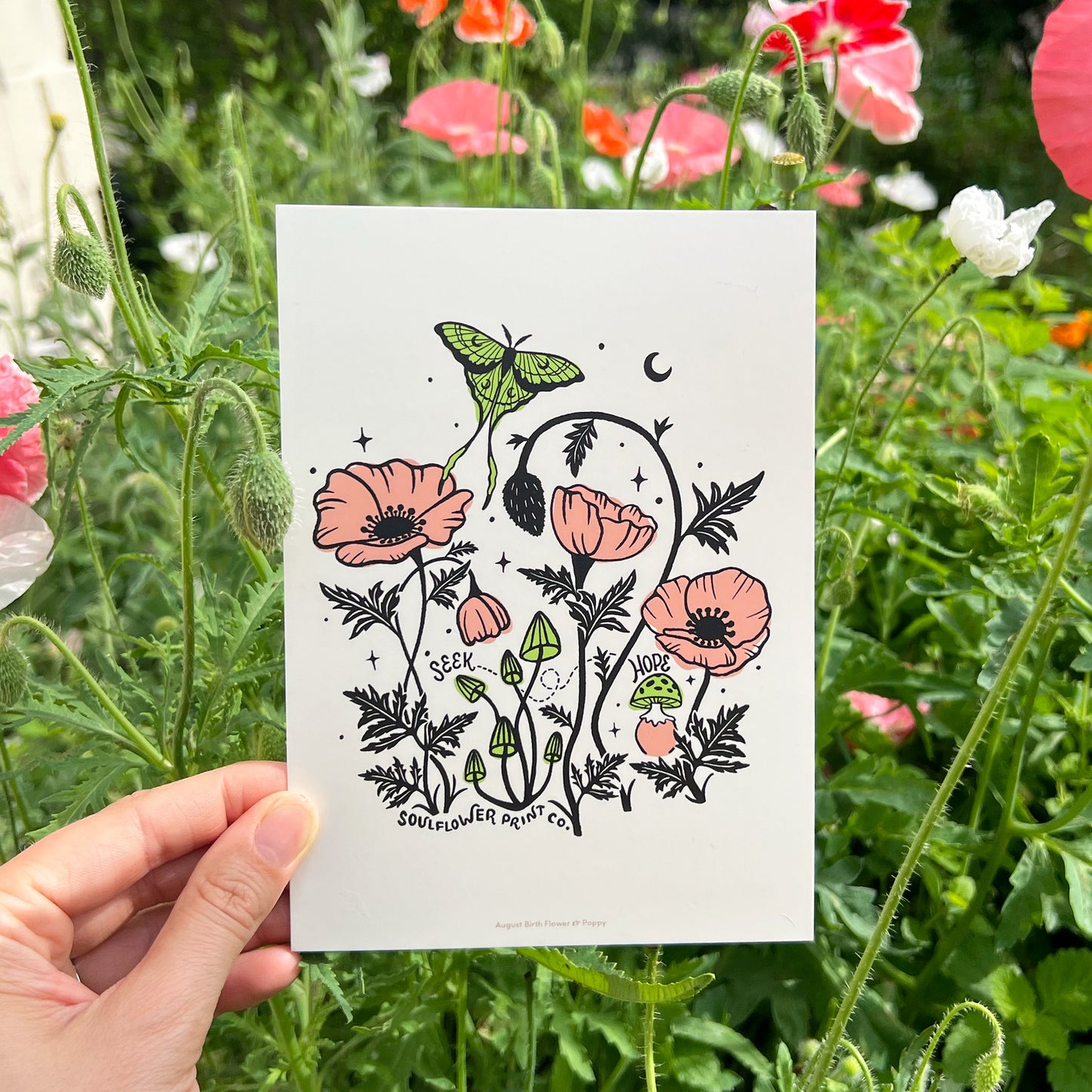 Postcard | August Birth Flower | Poppies