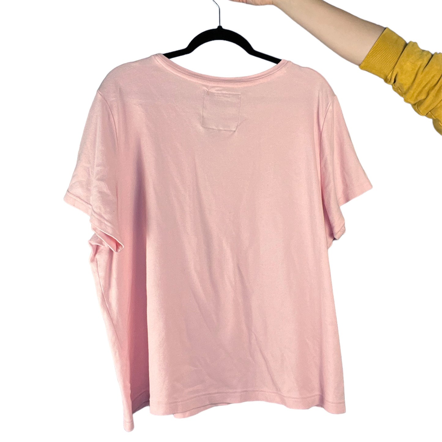 Brave & Kind | Pink Tee | 3X