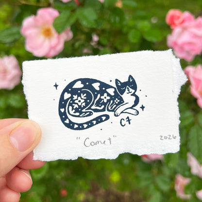 Comet | Tiny Art Print