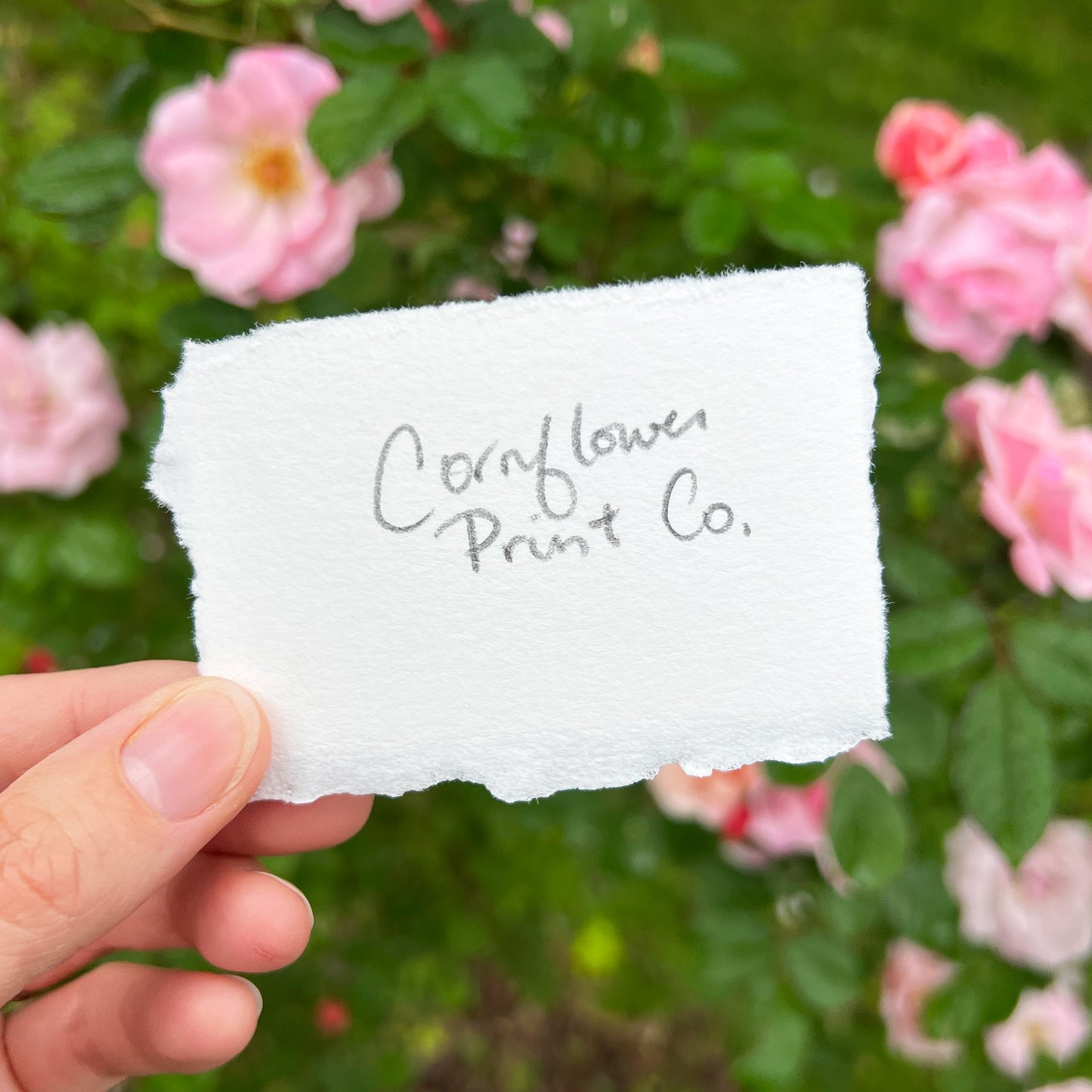 Comet | Tiny Art Print