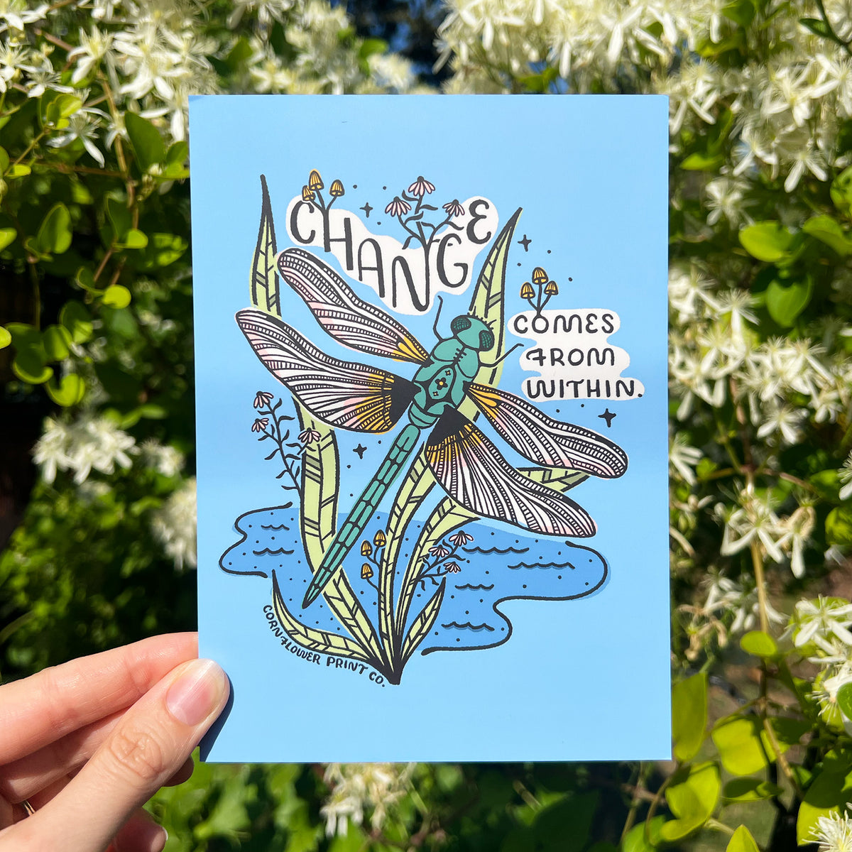Postcard | Dragonfly | Change Comes From Within