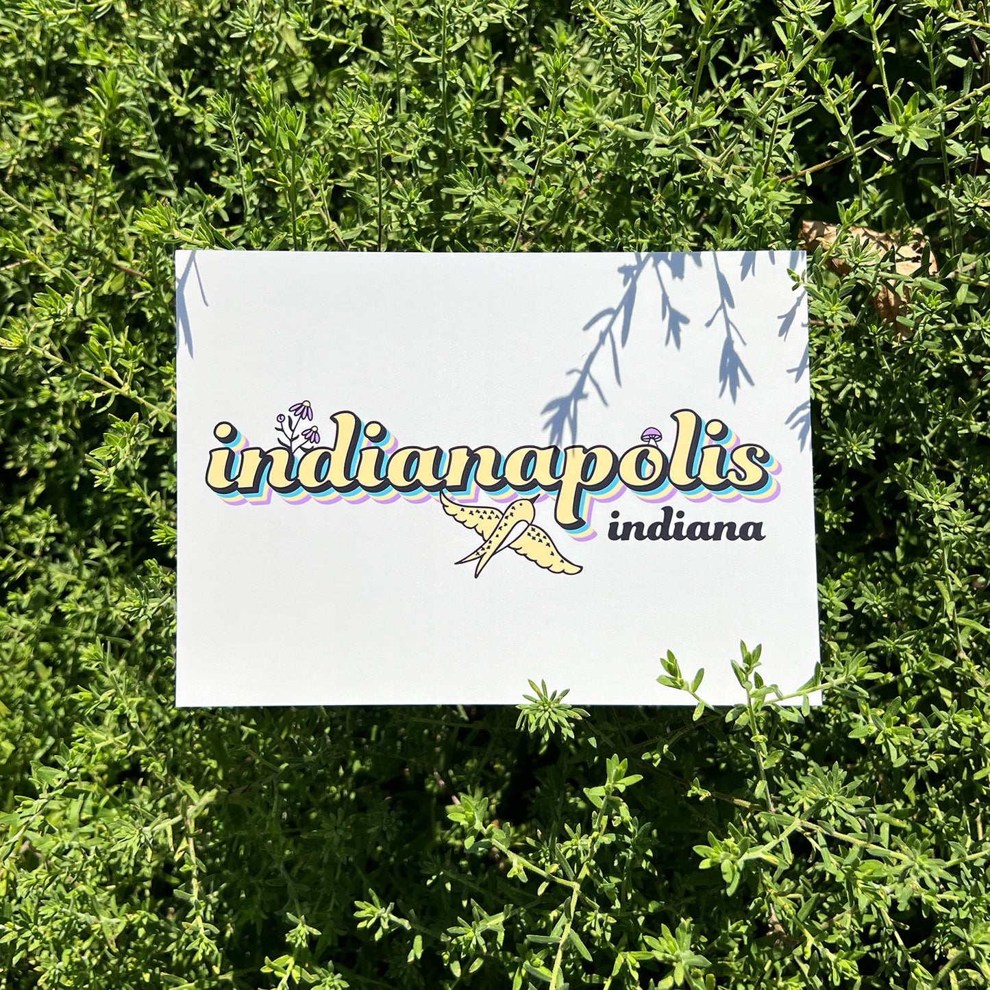 Postcard | Indianapolis