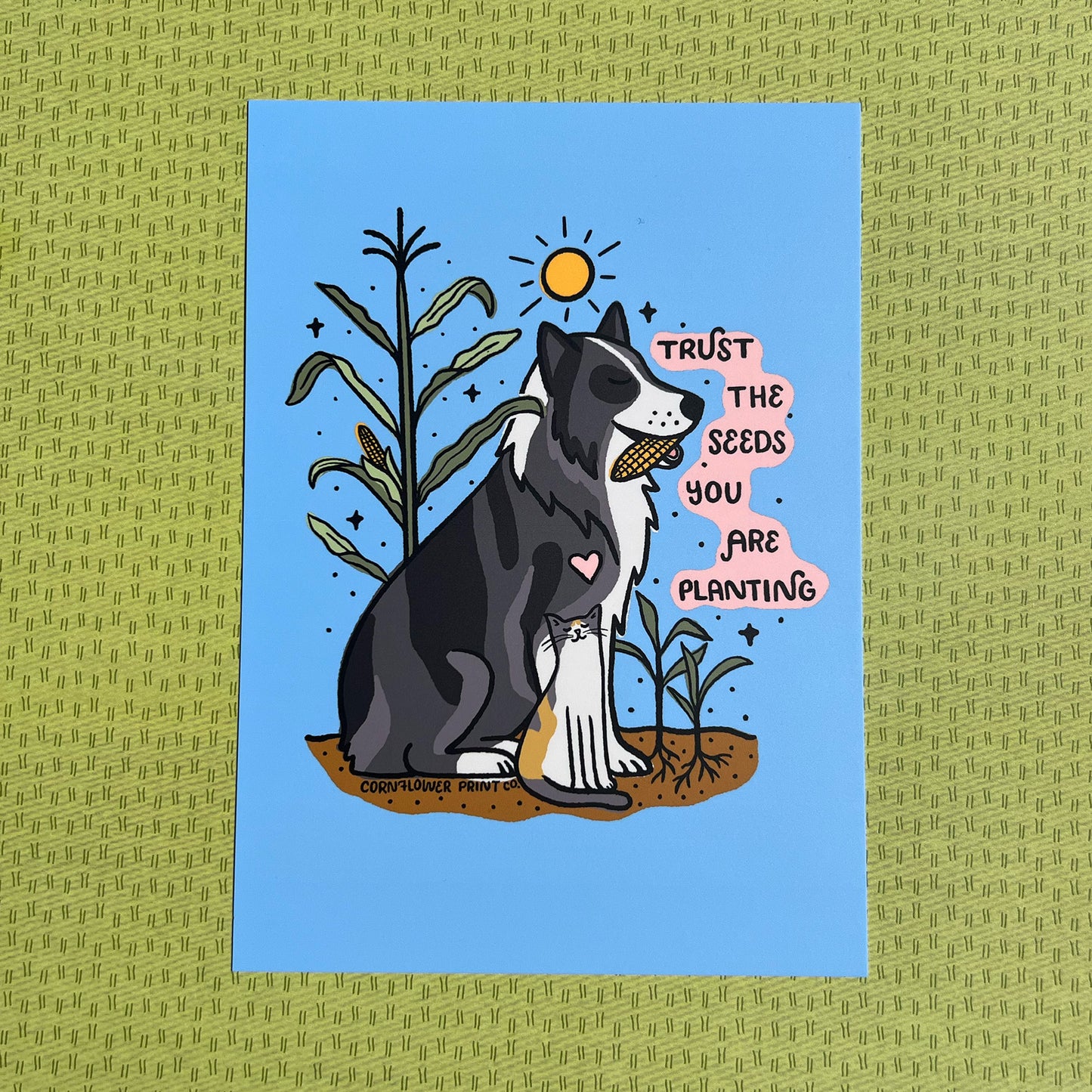 Postcard | Jackie & Peanut | Trust the Seeds You Are Planting