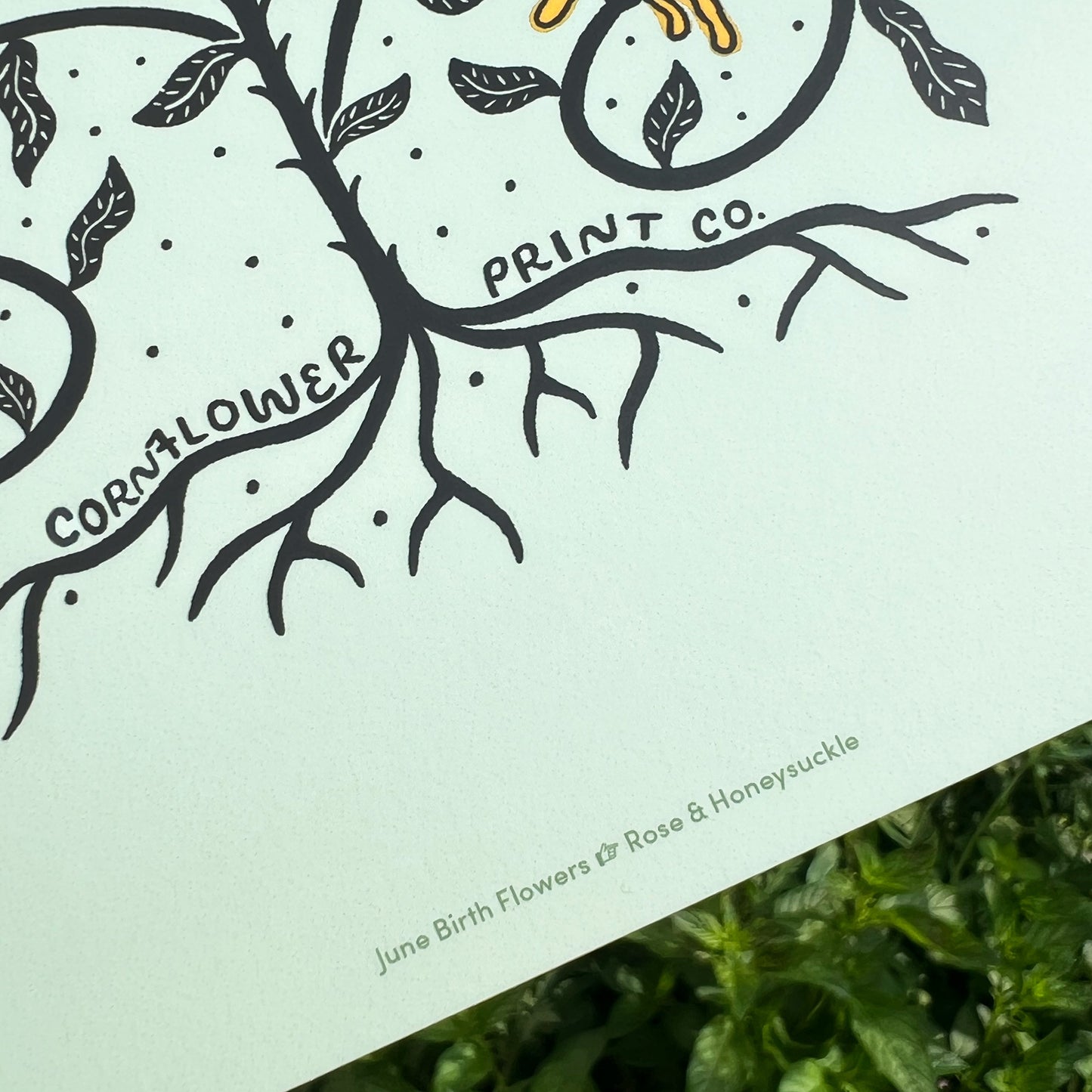 Postcard | June Birth Flowers | Rose & Honeysuckle