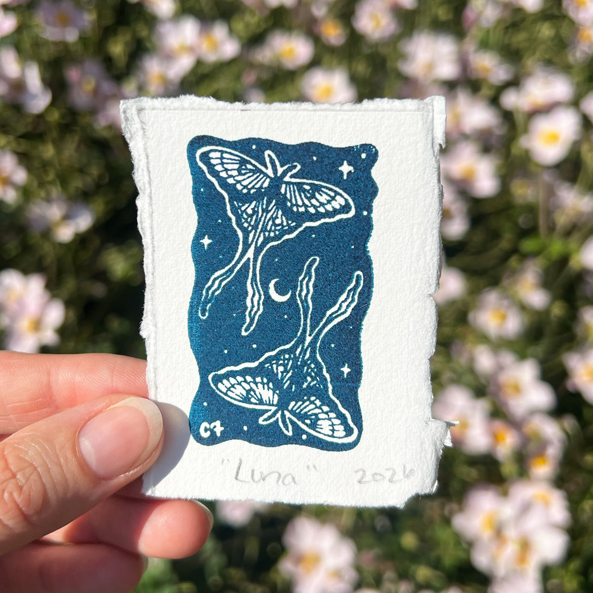 Luna Moths | Tiny Art Print