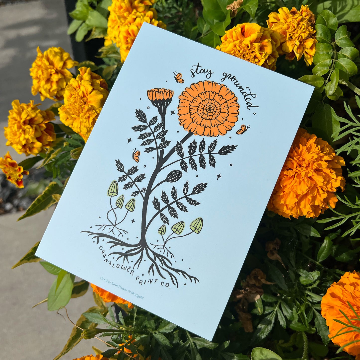 Postcard | October Birth Flower | Marigold