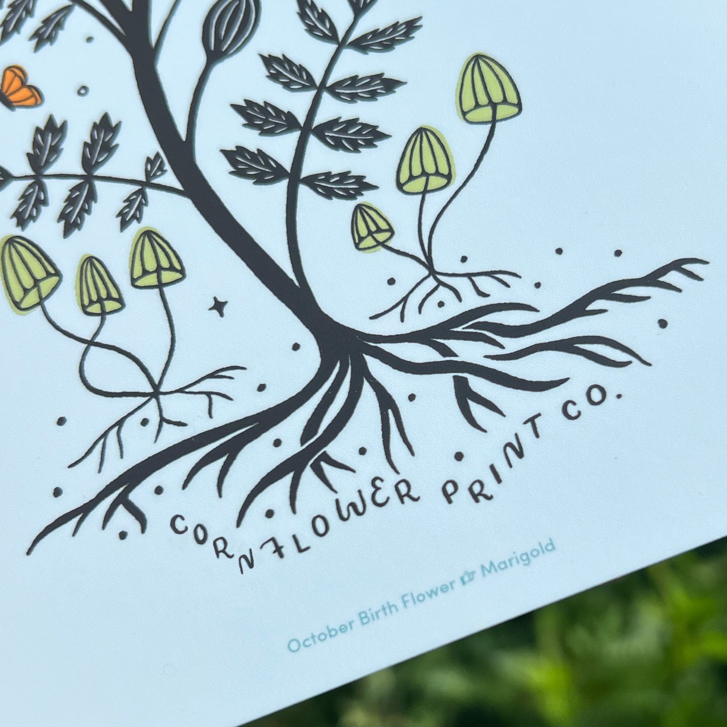 Postcard | October Birth Flower | Marigold