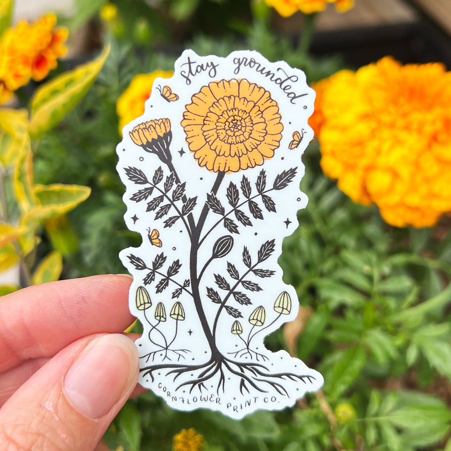 Vinyl Sticker | October Birth Flower | Marigold