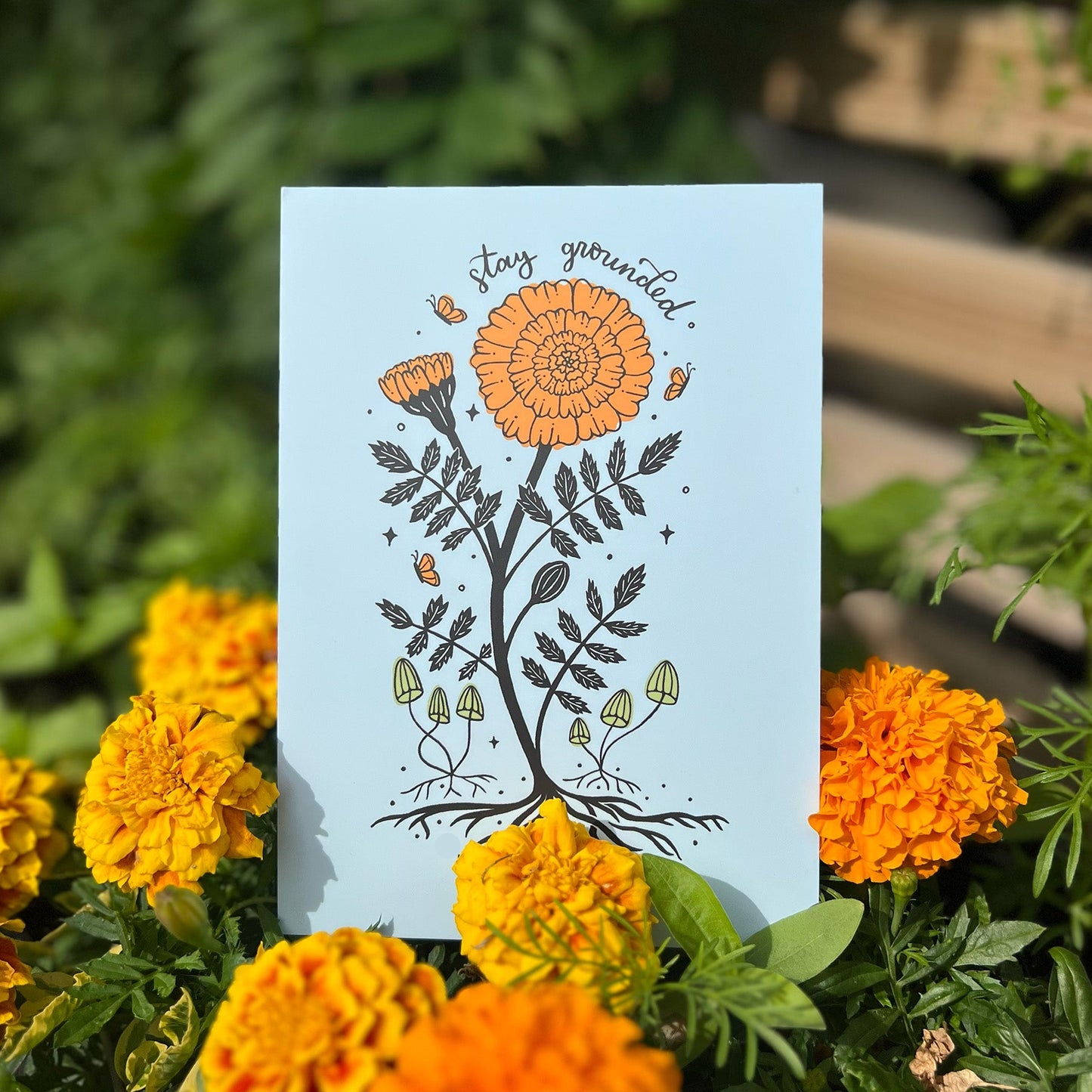 Postcard | October Birth Flower | Marigold