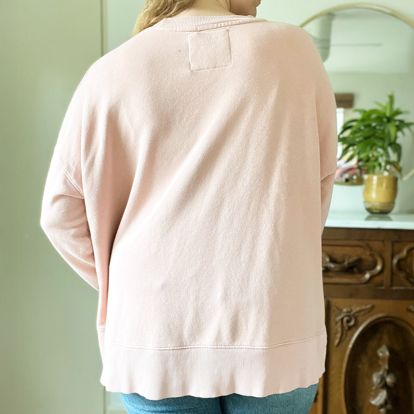 November Birth Flower | Chrysanthemum | Light Pink Sweatshirt | 2X