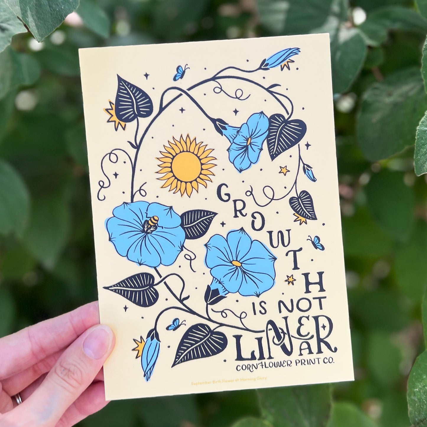 Postcard | September Birth Flower | Morning Glory