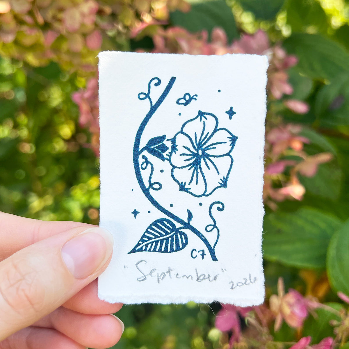 September Birth Flower | Morning Glory | Tiny Art Print