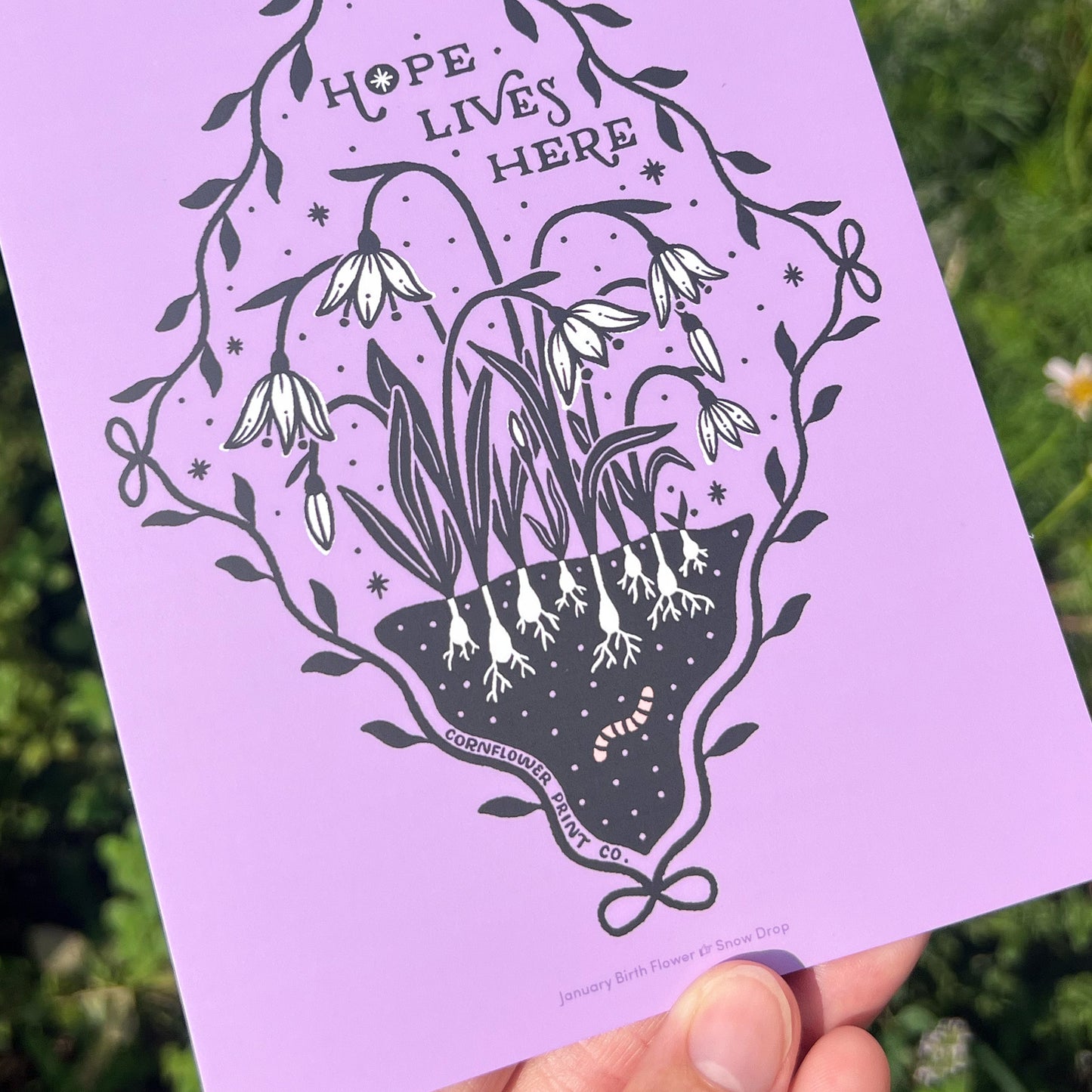 Postcard | January Birth Flower | Snow Drops