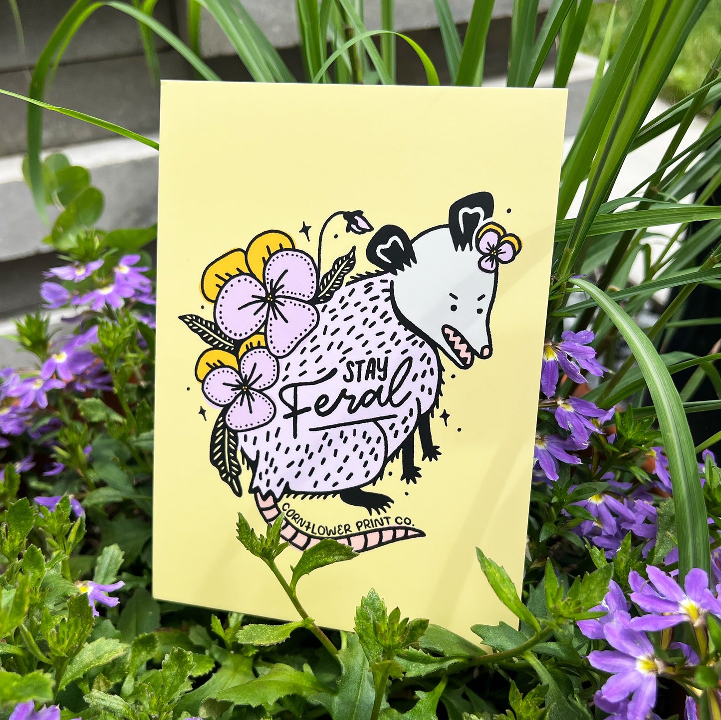 Postcard | Stay Feral Opossom