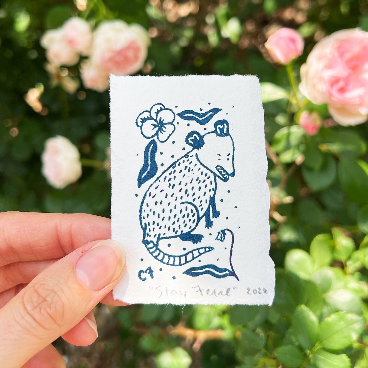 Stay Feral | Opossum | Tiny Art Print