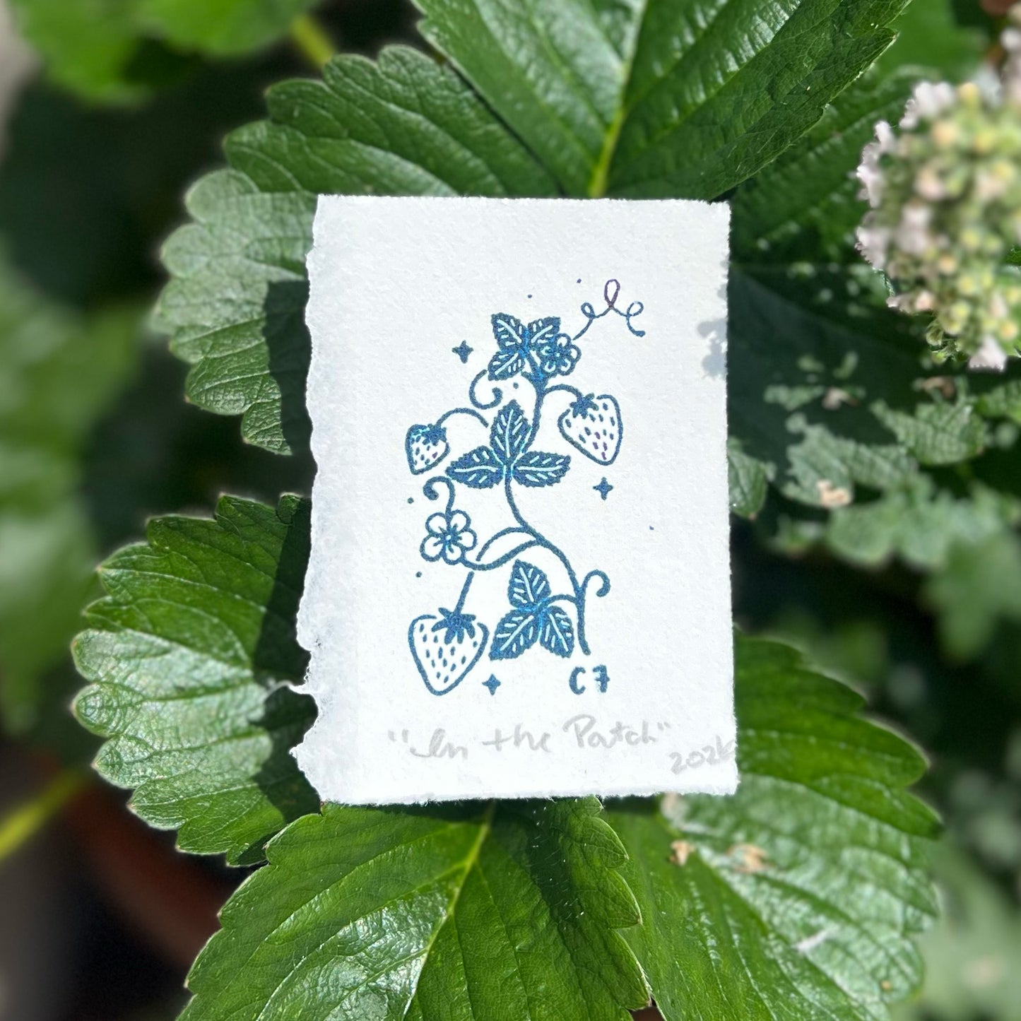 In the Patch | Strawberries | Tiny Art Print